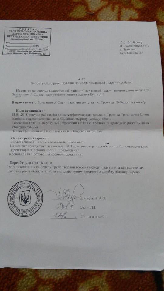 В Николаевской области две женщины закололи собаку соседей вилами (фото) 18+ В Николаевской области две женщины закололи собаку соседей вилами (фото) 18+