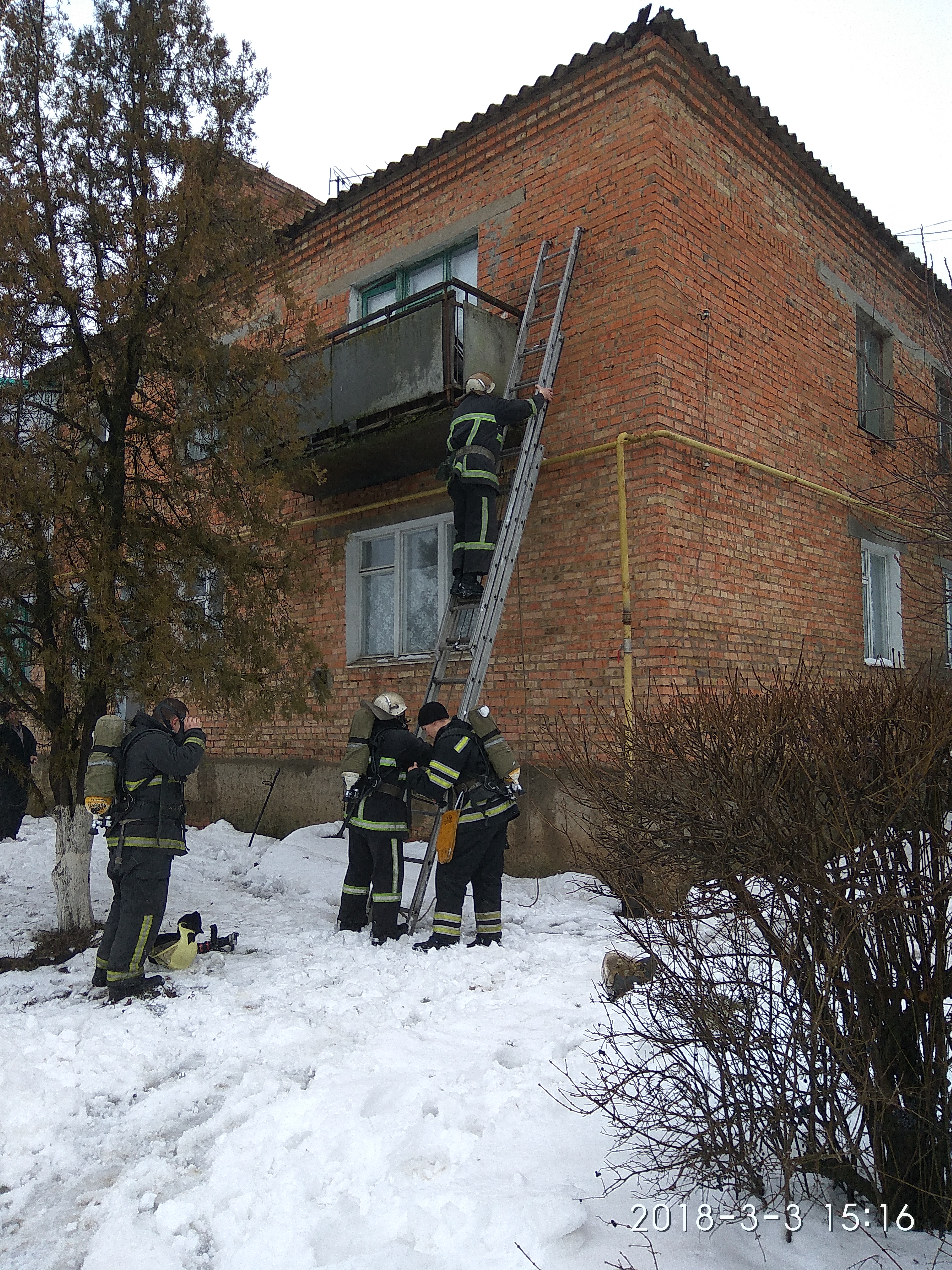 В Николаевской области во время пожара погиб мужчина (фото) В Николаевской области во время пожара погиб мужчина (фото)