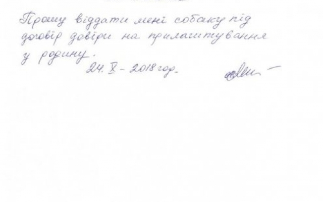 Собака, укусившая беременную женщину за живот, вновь напала на человека Фото № 1 Собака, укусившая беременную женщину за живот, вновь напала на человека Фото № 1