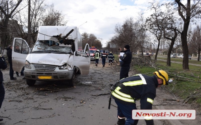 На Чигрина из-за сильного порыва ветра на маршрутку рухнуло дерево, пострадали дети Фото № 6 На Чигрина из-за сильного порыва ветра на маршрутку рухнуло дерево, пострадали дети Фото № 6