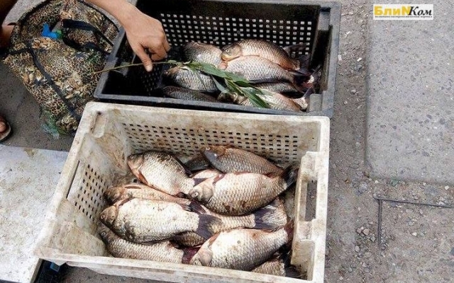 Стихийные рынки Николаева переполнены рыбой из потенциально опасных водоемов Фото № 0 Стихийные рынки Николаева переполнены рыбой из потенциально опасных водоемов Фото № 0