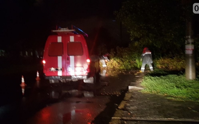 Из-за ураганного ветра на Пограничной упало дерево и перегородило проезжую часть дороги Фото № 1 Из-за ураганного ветра на Пограничной упало дерево и перегородило проезжую часть дороги Фото № 1
