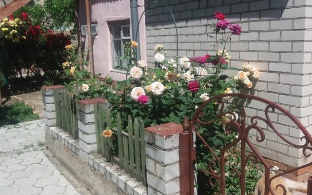 В Центральном районе начался первый этап конкурса «Николаев цветущий-2018» Фото № 2 В Центральном районе начался первый этап конкурса «Николаев цветущий-2018» Фото № 2