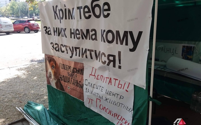 Николаевские зоозащитники требуют уволить директора «Центра защиты животных» Александра Голобродского Фото № 0 Николаевские зоозащитники требуют уволить директора «Центра защиты животных» Александра Голобродского Фото № 0