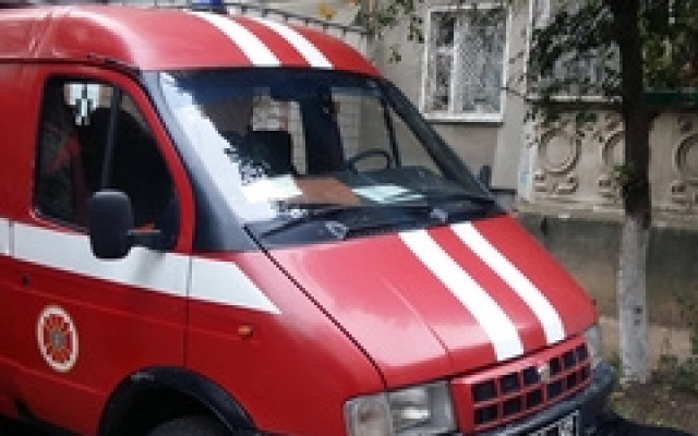 В Николаеве спасатели сняли с козырька балкона на 9 этаже кошку, просидевшую там трое суток Фото № 2 В Николаеве спасатели сняли с козырька балкона на 9 этаже кошку, просидевшую там трое суток Фото № 2