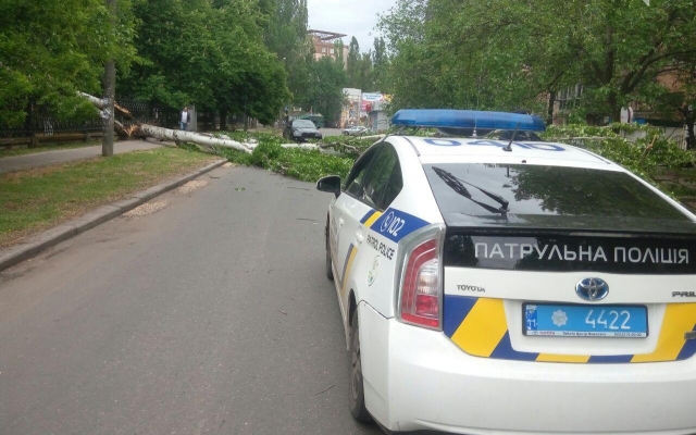 На Театральной из-за сильного ветра упало дерево, перегородило проезжую часть и повредило линию электропередач Фото № 0 На Театральной из-за сильного ветра упало дерево, перегородило проезжую часть и повредило линию электропередач Фото № 0