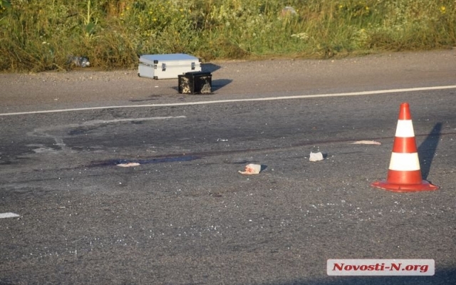 Авария на трассе «Николаев-Херсон»: из-за собаки серьезно травмирован водитель автомобиля Фото № 8 Авария на трассе «Николаев-Херсон»: из-за собаки серьезно травмирован водитель автомобиля Фото № 8