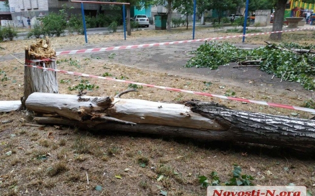 В центре Николаева упавший тополь раздавил автомобиль Фото № 6 В центре Николаева упавший тополь раздавил автомобиль Фото № 6