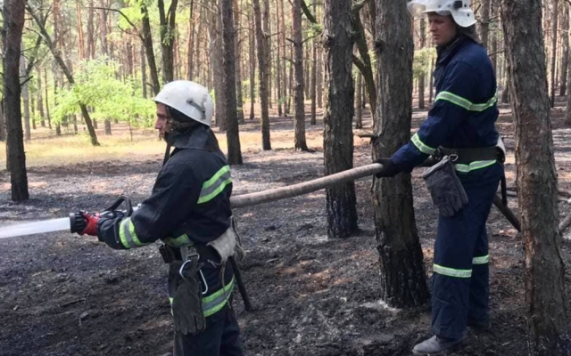 Поджоги стали причиной пожаров в лесничествах Николаева и Николаевской области Фото № 0 Поджоги стали причиной пожаров в лесничествах Николаева и Николаевской области Фото № 0