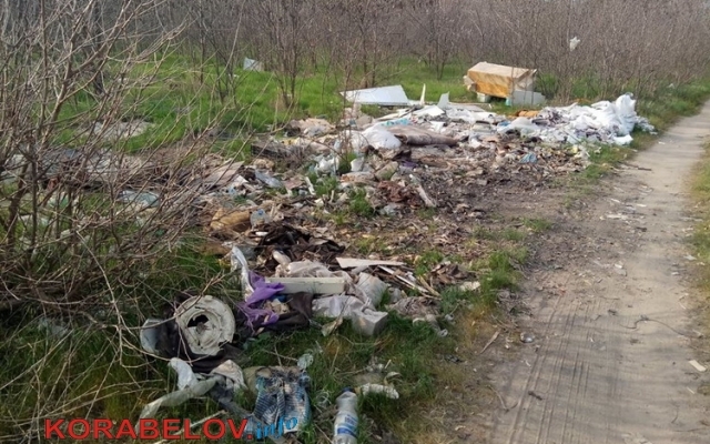 Жители Николаева завалили огромными горами мусора Балабановский лес Фото № 1 Жители Николаева завалили огромными горами мусора Балабановский лес Фото № 1