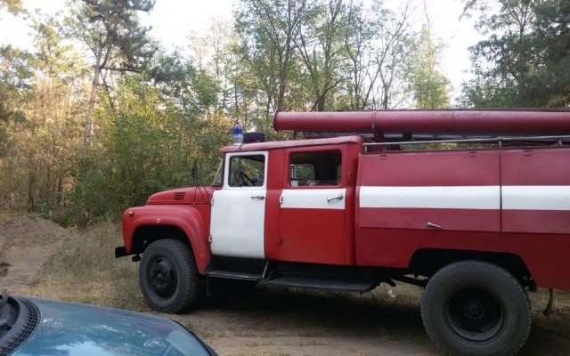 Спасатели обеспокоены количеством пожаров в экосистемах Николаевской области Фото № 6 Спасатели обеспокоены количеством пожаров в экосистемах Николаевской области Фото № 6