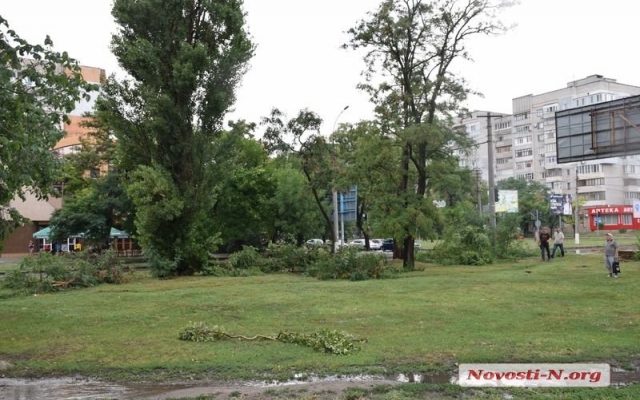 На Чкалова из-за сильного ветра и дождя ветка акации упала на контактные провода и заблокировала проезд трамваев Фото № 0 На Чкалова из-за сильного ветра и дождя ветка акации упала на контактные провода и заблокировала проезд трамваев Фото № 0