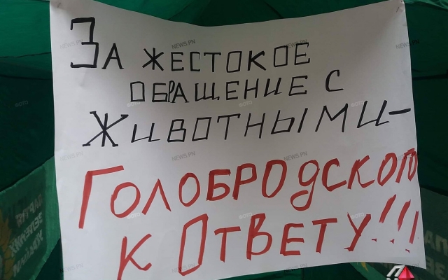 Николаевские зоозащитники требуют уволить директора «Центра защиты животных» Александра Голобродского Фото № 7 Николаевские зоозащитники требуют уволить директора «Центра защиты животных» Александра Голобродского Фото № 7