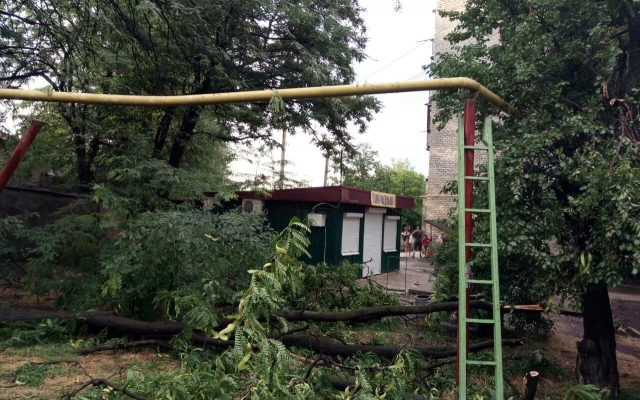В Николаевской области из-за непогоды упали деревья Фото № 3 В Николаевской области из-за непогоды упали деревья Фото № 3