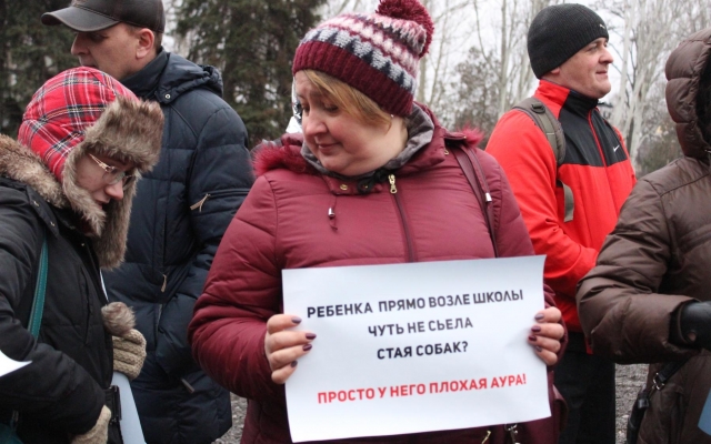 Жители Николаева выступили в защиту бездомных собак Фото № 5 Жители Николаева выступили в защиту бездомных собак Фото № 5