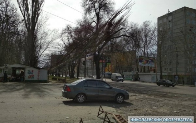 На Богоявленском проспекте из-за сильного порыва ветра тополь упал на электропровода, трамваи не ходят Фото № 1 На Богоявленском проспекте из-за сильного порыва ветра тополь упал на электропровода, трамваи не ходят Фото № 1