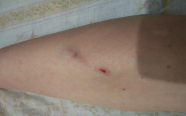 Управление транспорта горсовета оперативно отреагировало относительно нештатной ситуации в троллейбусе №4 Фото № 0 Управление транспорта горсовета оперативно отреагировало относительно нештатной ситуации в троллейбусе №4 Фото № 0