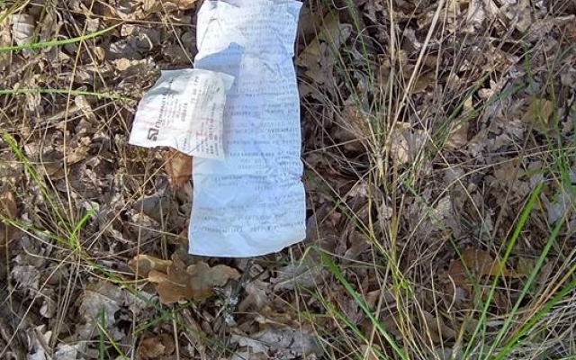 В Марьевском лесу неизвестные незаконно вырубили десятки дубов Фото № 6 В Марьевском лесу неизвестные незаконно вырубили десятки дубов Фото № 6