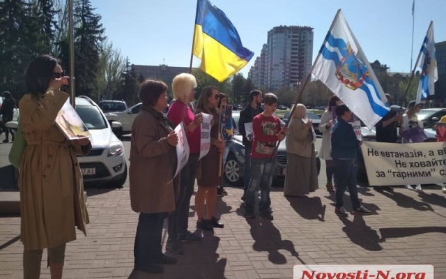 Пикет под Николаевским горсоветом: зоозащитники требуют «гуманную программу» по обращению с животными Фото № 3 Пикет под Николаевским горсоветом: зоозащитники требуют «гуманную программу» по обращению с животными Фото № 3