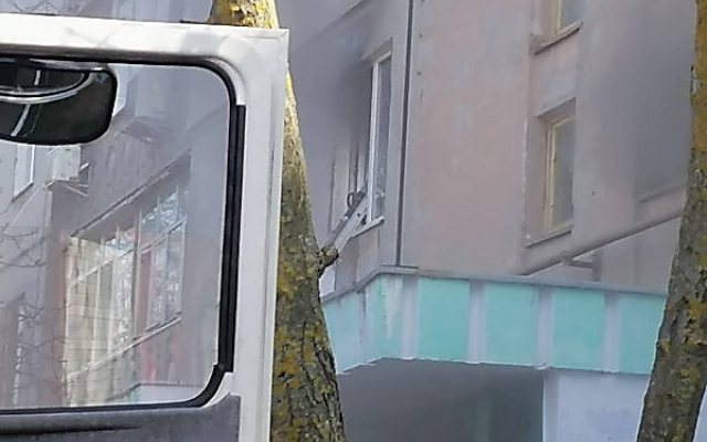 Домашняя кошка стала виновницей пожара в многоэтажном доме Фото № 1 Домашняя кошка стала виновницей пожара в многоэтажном доме Фото № 1