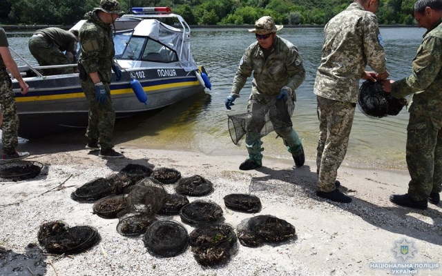 Правоохранители в водоемах Николаева и Николаевской области обнаружили браконьерские орудия лова Фото № 3 Правоохранители в водоемах Николаева и Николаевской области обнаружили браконьерские орудия лова Фото № 3
