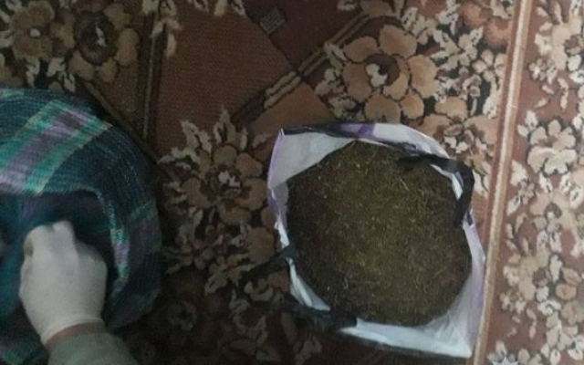 У жителя Баштанки обнаружили 4 килограмма наркозелья на общую сумму 100 тысяч гривен Фото № 4 У жителя Баштанки обнаружили 4 килограмма наркозелья на общую сумму 100 тысяч гривен Фото № 4