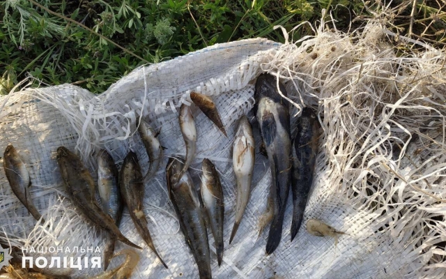 В Березанском районе правоохранители задержали браконьера, незаконно вылавливавшего креветку и бычки Фото № 1 В Березанском районе правоохранители задержали браконьера, незаконно вылавливавшего креветку и бычки Фото № 1