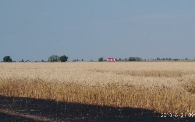 В Очакове загорелось поле с пшеницей Фото № 1 В Очакове загорелось поле с пшеницей Фото № 1