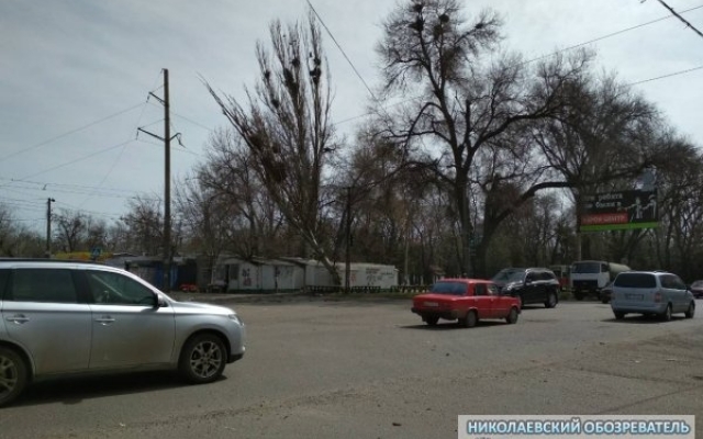 На Богоявленском проспекте из-за сильного порыва ветра тополь упал на электропровода, трамваи не ходят Фото № 2 На Богоявленском проспекте из-за сильного порыва ветра тополь упал на электропровода, трамваи не ходят Фото № 2