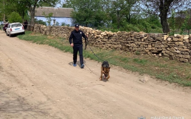 Зверское убийство: в Березнеговатском в собственном доме найдены убитыми местный фермер и его жена Фото № 5 Зверское убийство: в Березнеговатском в собственном доме найдены убитыми местный фермер и его жена Фото № 5
