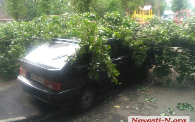 В центре Николаева упавший тополь раздавил автомобиль Фото № 7 В центре Николаева упавший тополь раздавил автомобиль Фото № 7