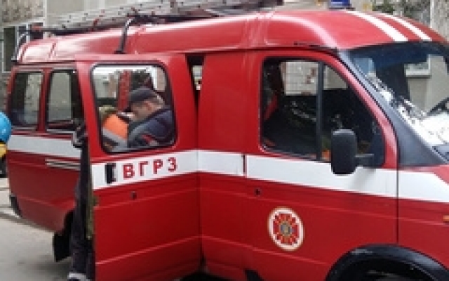 В Николаеве спасатели сняли с козырька балкона на 9 этаже кошку, просидевшую там трое суток Фото № 3 В Николаеве спасатели сняли с козырька балкона на 9 этаже кошку, просидевшую там трое суток Фото № 3