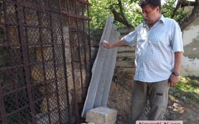 Кто виноват в смерти альпака: в Николаевский зоопарк бродячие собаки проникают через дыры в заборе, прорехи латают шифером Фото № 13 Кто виноват в смерти альпака: в Николаевский зоопарк бродячие собаки проникают через дыры в заборе, прорехи латают шифером Фото № 13