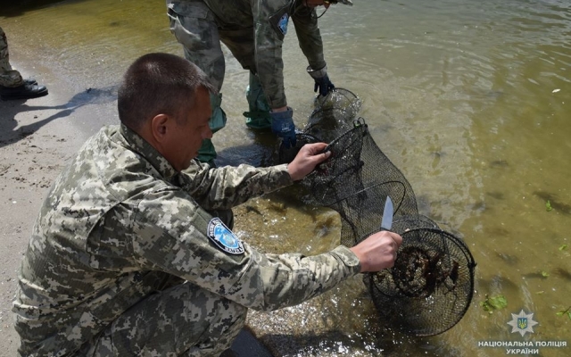 Правоохранители в водоемах Николаева и Николаевской области обнаружили браконьерские орудия лова Фото № 11 Правоохранители в водоемах Николаева и Николаевской области обнаружили браконьерские орудия лова Фото № 11