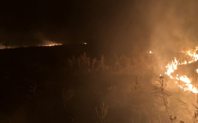 Пожары в Николаевской области ущерб всему живому Фото № 2 Пожары в Николаевской области ущерб всему живому Фото № 2