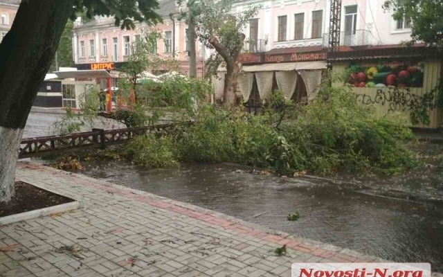В центре Николаева из-за сильного ветра обвалилась опора контактной сети, полностью перегородив дорогу Фото № 5 В центре Николаева из-за сильного ветра обвалилась опора контактной сети, полностью перегородив дорогу Фото № 5