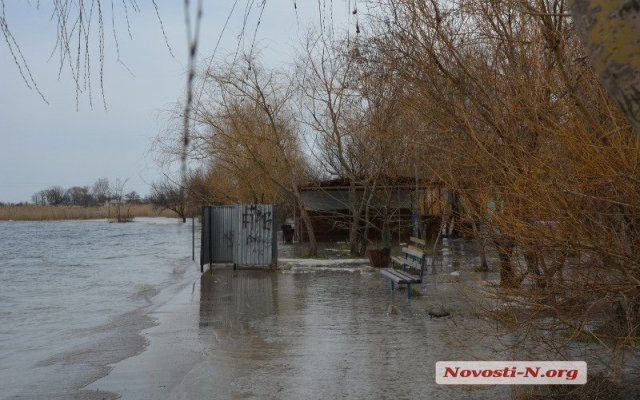 В Николаеве в реках Южный Буг и Ингул почти на метр поднялся уровень воды Фото № 12 В Николаеве в реках Южный Буг и Ингул почти на метр поднялся уровень воды Фото № 12