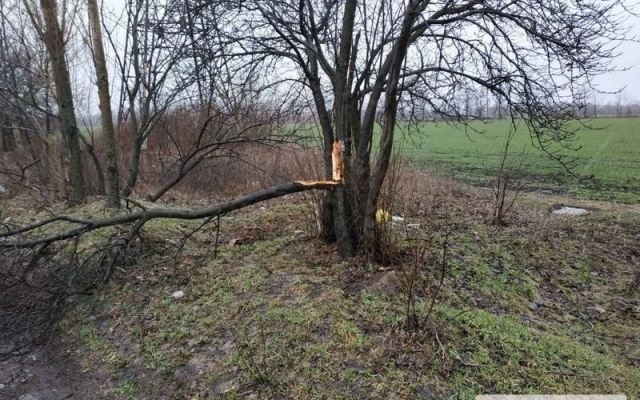 На Первомайск обрушился непогода: град, сильный дождь и шквальный ветер Фото № 0 На Первомайск обрушился непогода: град, сильный дождь и шквальный ветер Фото № 0