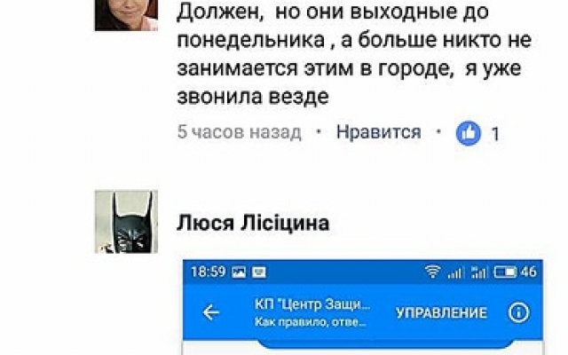 В Николаеве потравили бездомных собак Фото № 2 В Николаеве потравили бездомных собак Фото № 2