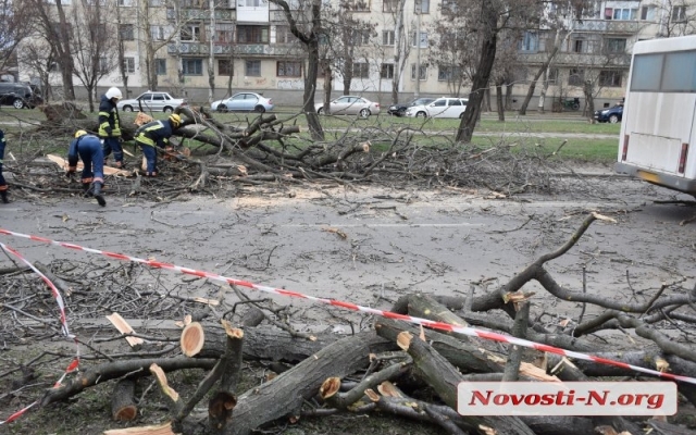 На Чигрина из-за сильного порыва ветра на маршрутку рухнуло дерево, пострадали дети Фото № 8 На Чигрина из-за сильного порыва ветра на маршрутку рухнуло дерево, пострадали дети Фото № 8