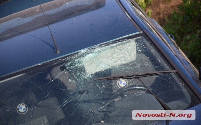 Авария на трассе под Николаевом: иномарка – в кювете, пострадавший пассажир – в больнице Фото № 10 Авария на трассе под Николаевом: иномарка – в кювете, пострадавший пассажир – в больнице Фото № 10