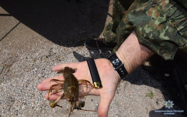 Правоохранители в водоемах Николаева и Николаевской области обнаружили браконьерские орудия лова Фото № 4 Правоохранители в водоемах Николаева и Николаевской области обнаружили браконьерские орудия лова Фото № 4