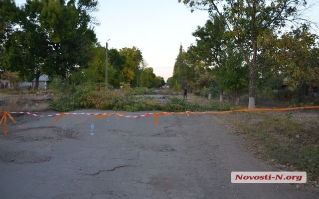 В поселке Грейгово жители перекрыли дорогу к элеватору Фото № 2 В поселке Грейгово жители перекрыли дорогу к элеватору Фото № 2