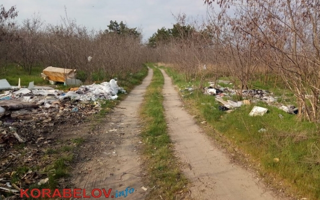 Жители Николаева завалили огромными горами мусора Балабановский лес Фото № 2 Жители Николаева завалили огромными горами мусора Балабановский лес Фото № 2