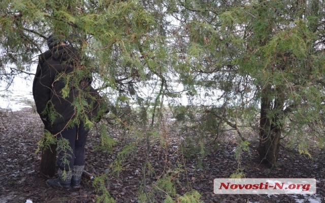 В сквере на Бугском бульваре обнаружили повешенным пожилого мужчину, устанавливается его личность (фото 18+) Фото № 4 В сквере на Бугском бульваре обнаружили повешенным пожилого мужчину, устанавливается его личность (фото 18+) Фото № 4