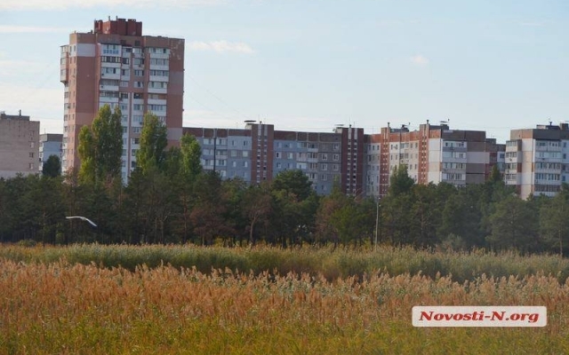 Николаевское соленое озеро находится под угрозой исчезновения Фото № 9 Николаевское соленое озеро находится под угрозой исчезновения Фото № 9