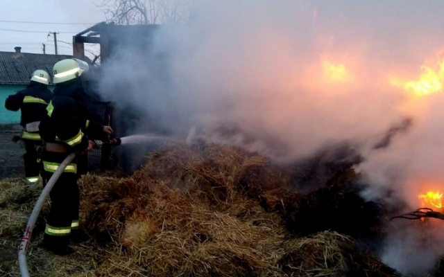 В Новоодесском районе мужчина получил ожоги из-за короткого замыкания электроодеяла Фото № 2 В Новоодесском районе мужчина получил ожоги из-за короткого замыкания электроодеяла Фото № 2