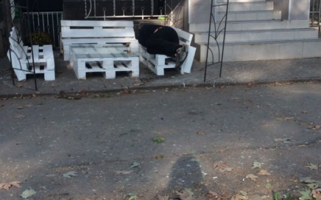 В Николаеве владелец кафе во время конфликта вылил на девушку ведро фекалий Фото № 9 В Николаеве владелец кафе во время конфликта вылил на девушку ведро фекалий Фото № 9