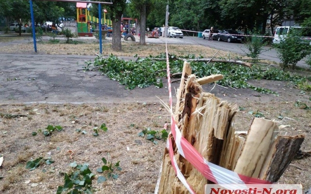 В центре Николаева упавший тополь раздавил автомобиль Фото № 1 В центре Николаева упавший тополь раздавил автомобиль Фото № 1