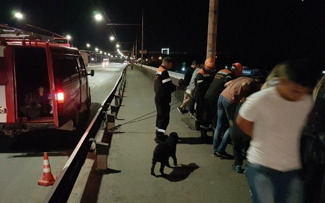 Котенок залез под нижнюю часть Ингульского моста, и его пришлось доставать спасателям Фото № 1 Котенок залез под нижнюю часть Ингульского моста, и его пришлось доставать спасателям Фото № 1